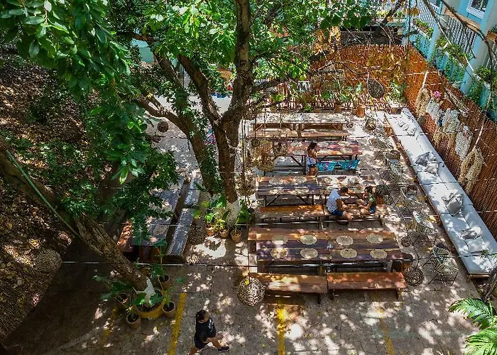 Hotel Selina Playa del Carmen